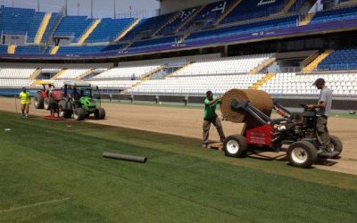 Novogreen y el Málaga FC. Nuevo césped en el Estadio de la Rosaleda