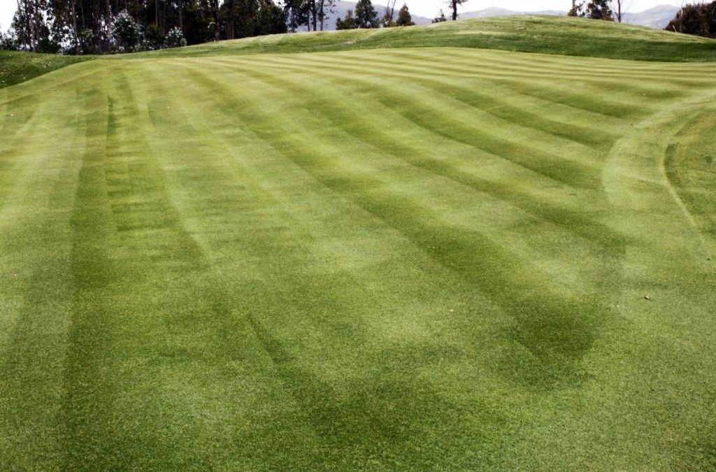 Novogreen suministra su césped para Arousa Golf, único campo en Galicia con 18 hoyos par tres  y otros 18 hoyos de pitch & putt en un solo campo