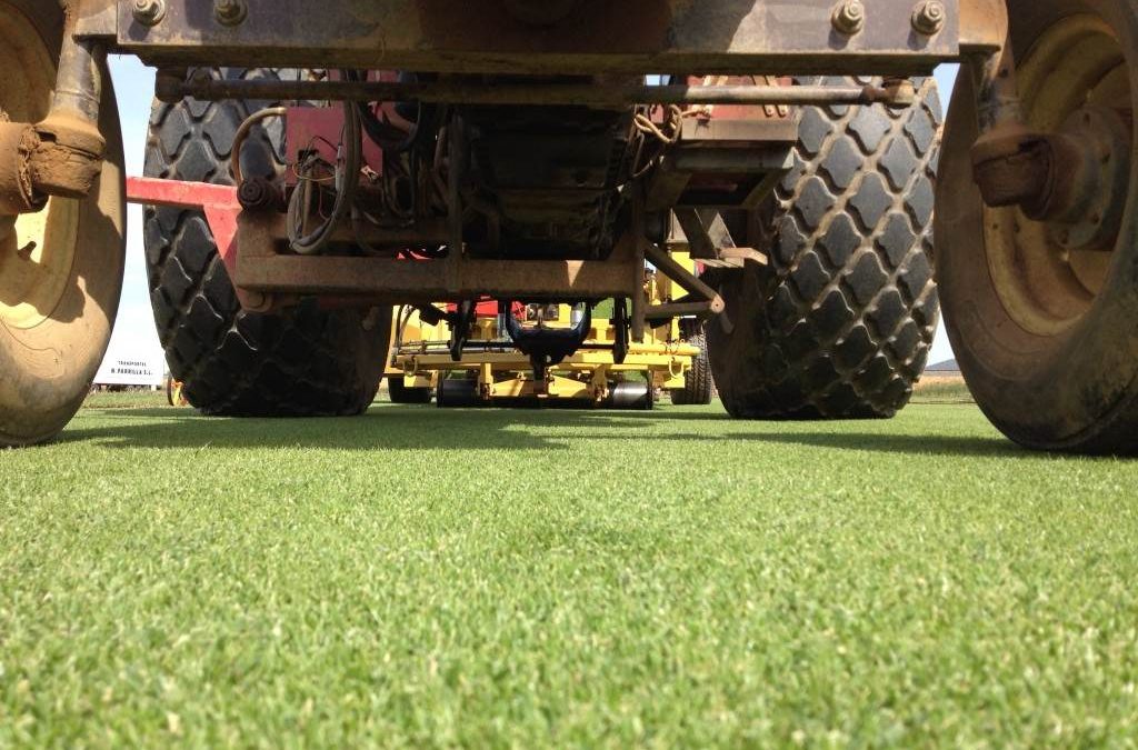 Cultivos de Césped deportivos a medida