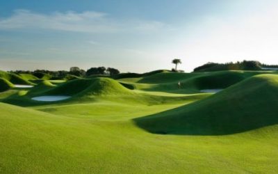 Césped certificado Paspalum Sea Isle 2000 para Greens