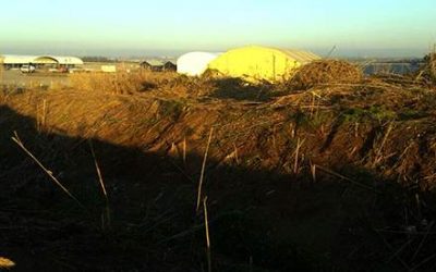 Novogreen renovates the new garden area of the Spanish-American base in Rota