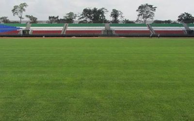 Novogreen supplies natural turf to three football pitches for the 2015 Africa Cup of Nations