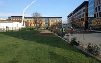 Lyon se apunta al césped natural de Novogreen