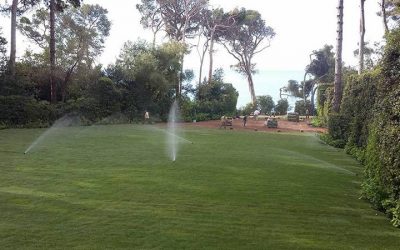 Novogreen lawns the French Riviera