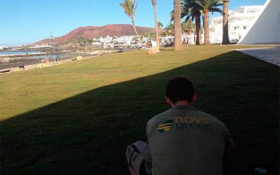 ¿Pero Canarias no es España?