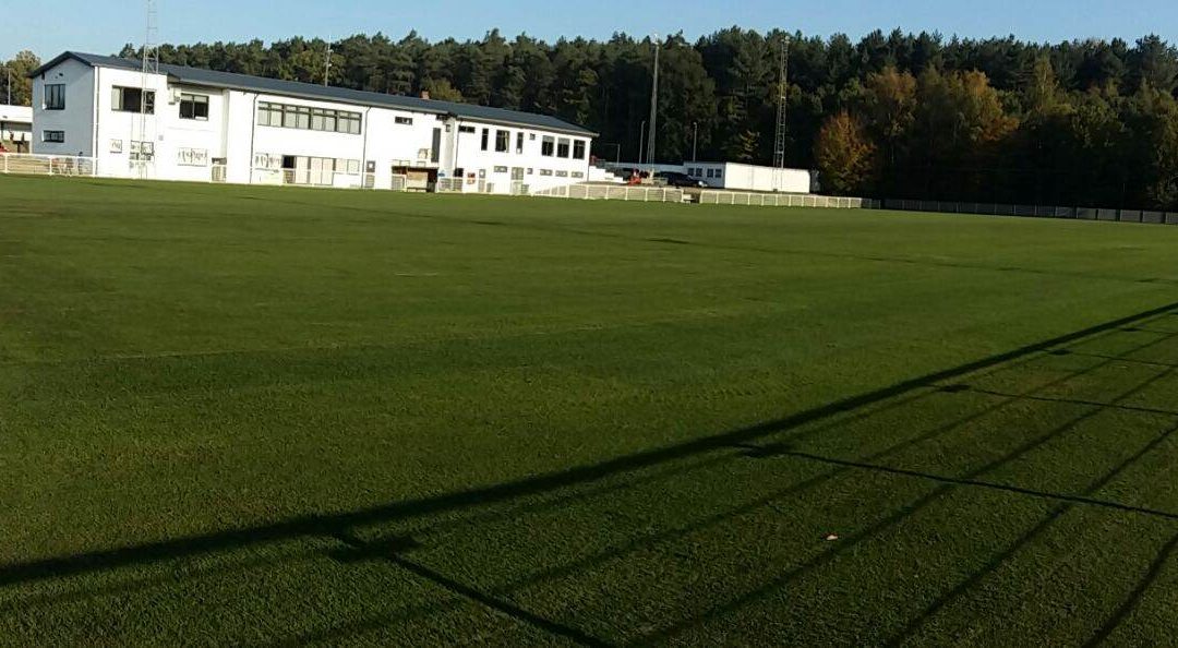 Nuestro césped en el campo de entrenamiento del Oud-Heverlee Leuven