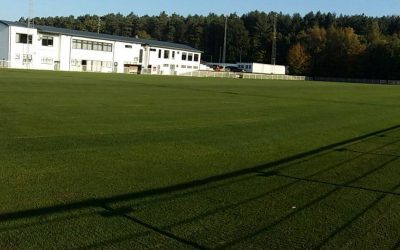 Nossa grama no campo de treinamento de Oud-Heverlee Leuven