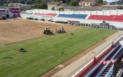 El césped en el fútbol: diferentes climatologías, diferentes campos de juego