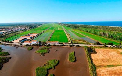 La ETP célÁ¨brera son rendez-vous annuel sur le gazon de Novogreen