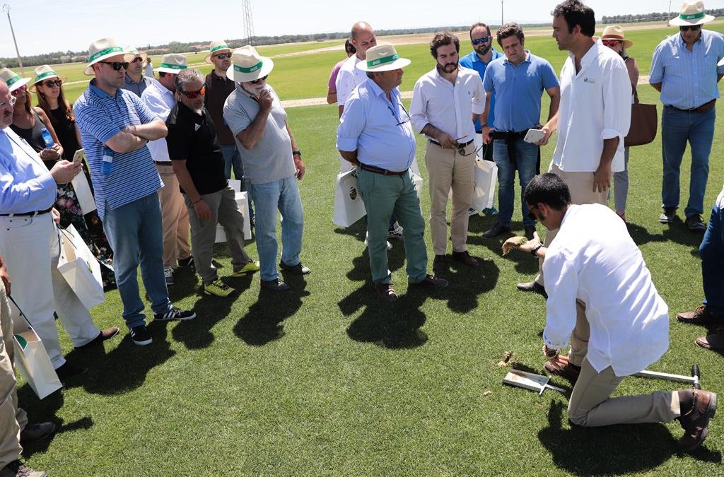 Novogreen presentó su producción de césped natural en Arévalo