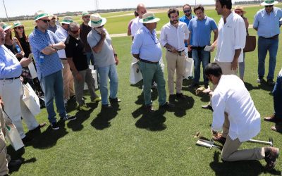 A Novogreen apresentou sua produção de grama natural em Arévalo.