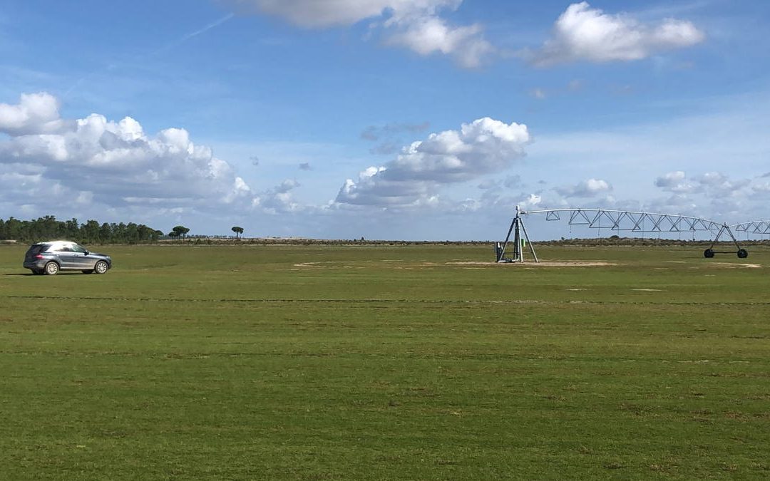 Visita de SGA a la finca de Novogreen en Portugal