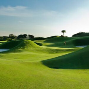 Paspalum Sealsle 2000