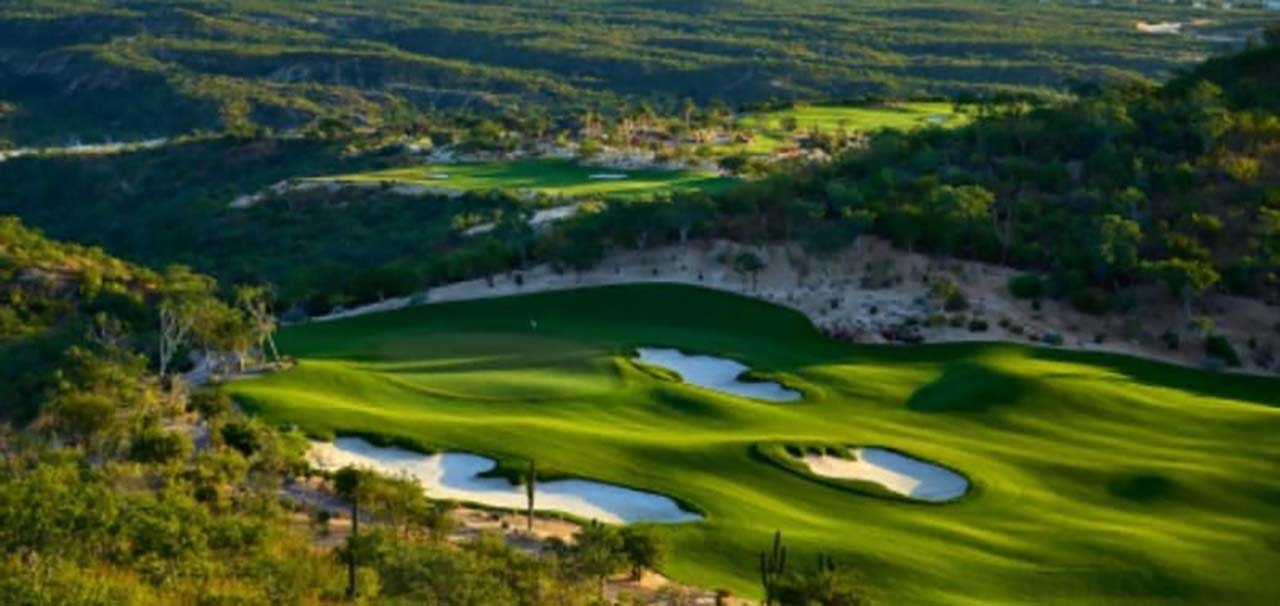 Zoysia Zeon - Imagen 4