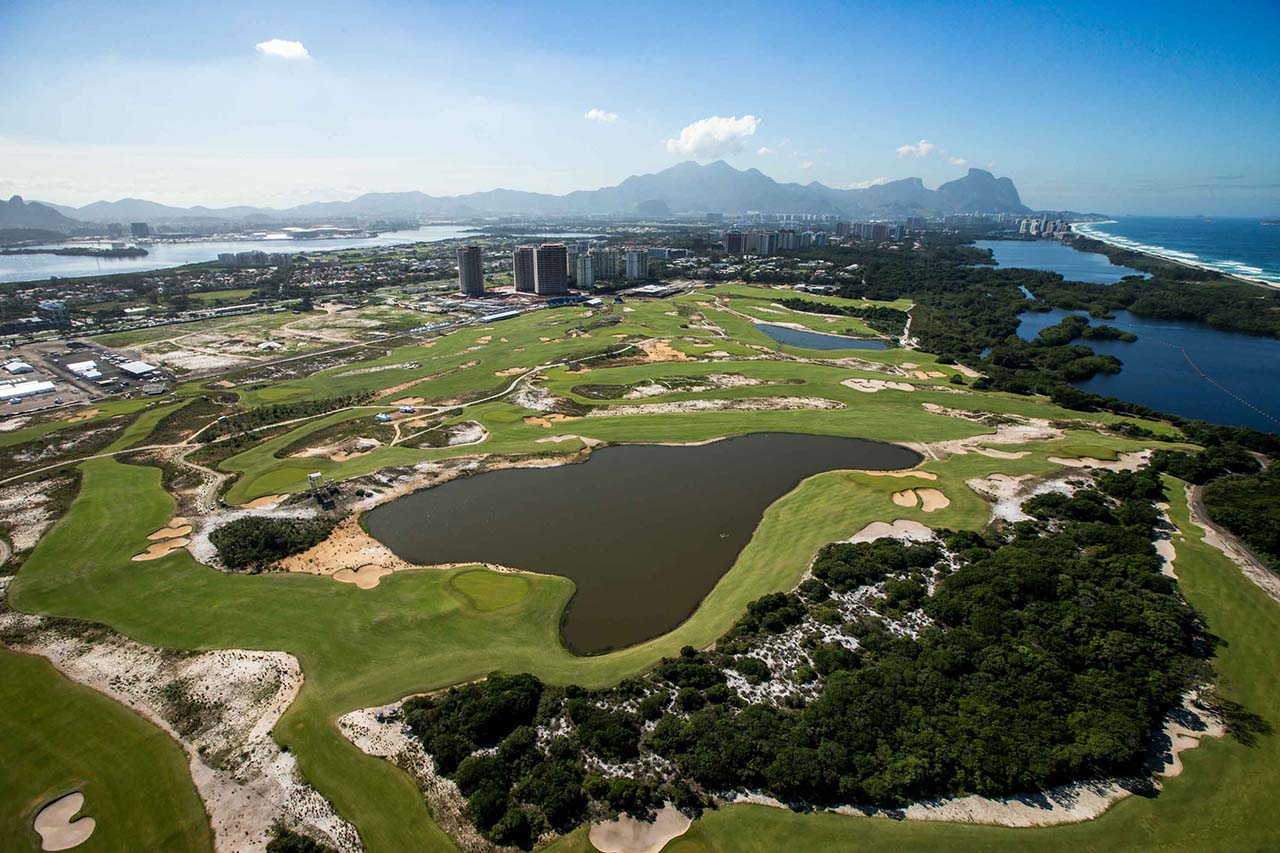 Zoysia Zeon - Imagen 5