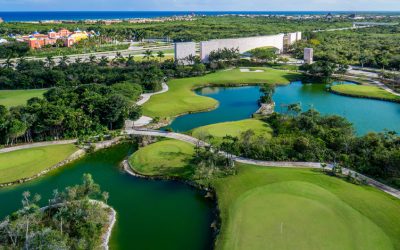 Por que o Platinum TE é o melhor paspalum do mundo?