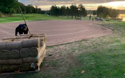 Nova produção de Agrostis