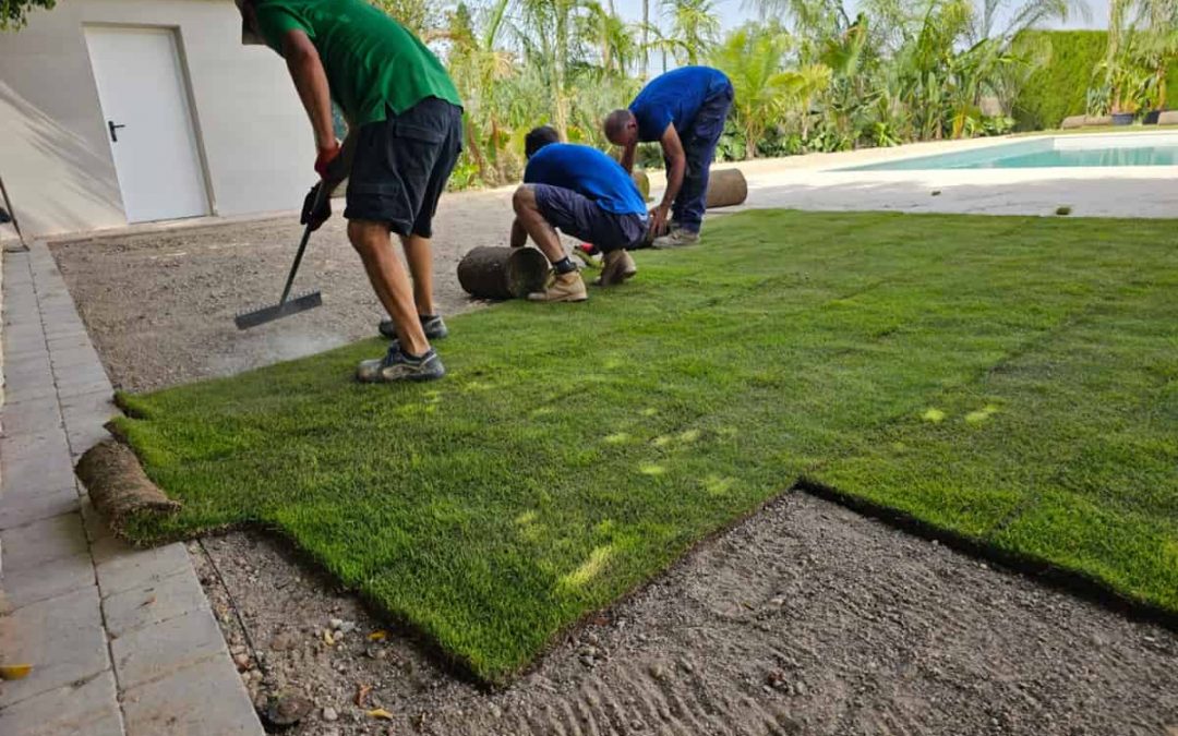 Les erreurs les plus fréquentes lors de la pose et de l'entretien du gazon synthétique et comment les éviter