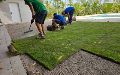 Los errores más comunes al instalar y cuidar el césped en tepes y cómo evitarlos