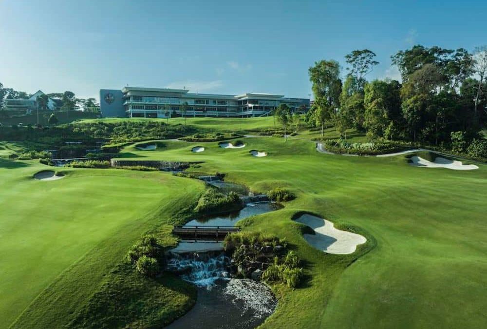 Zoysia: qualities and management