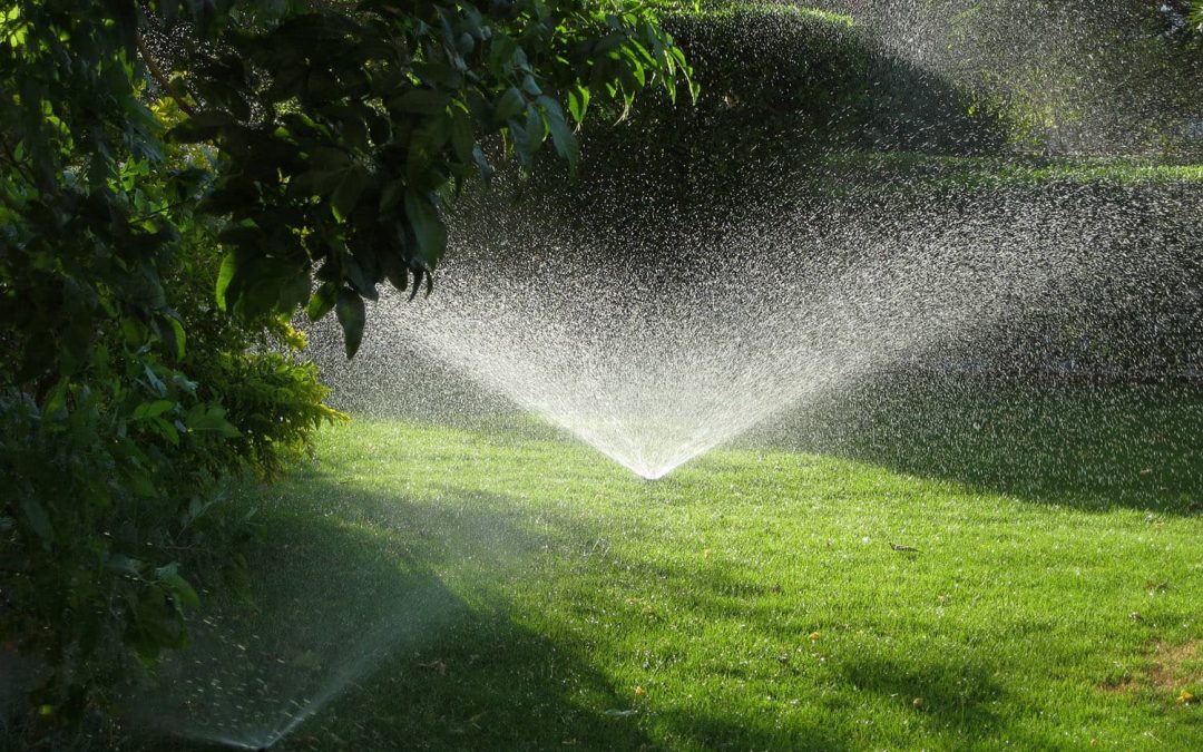 El riego del césped en el jardín