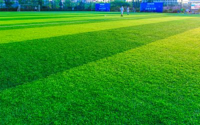 El césped natural como elemento clave en el diseño de áreas deportivas y recreativas