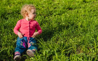 Idées d'aménagement d'espaces de loisirs avec gazon naturel