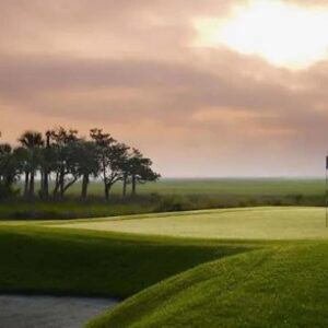 Bermudas ultra-anÁ£s TifEagle