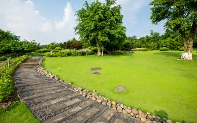 Ideas de diseño de jardines con césped natural en tepes