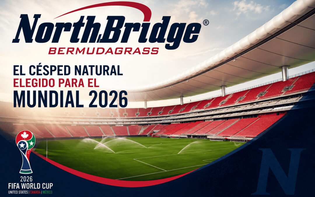 Bermuda NorthBridge: El césped natural que eligen los groundsmen del Mundial 2026 y la NFL llega a Europa con Novogreen