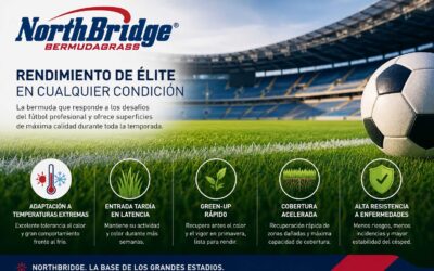 Bermudagrass de Northbridge, performance d'élite quelles que soient les conditions