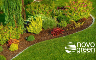 Césped natural para jardines profesionales: cómo elegir la solución adecuada