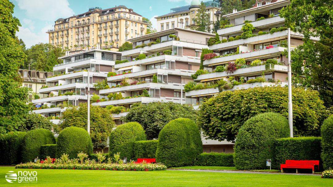 cesped natural para jardines