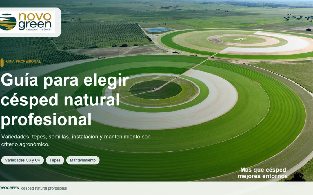 Guía para elegir césped natural: variedades, tepes, semillas, instalación y mantenimiento