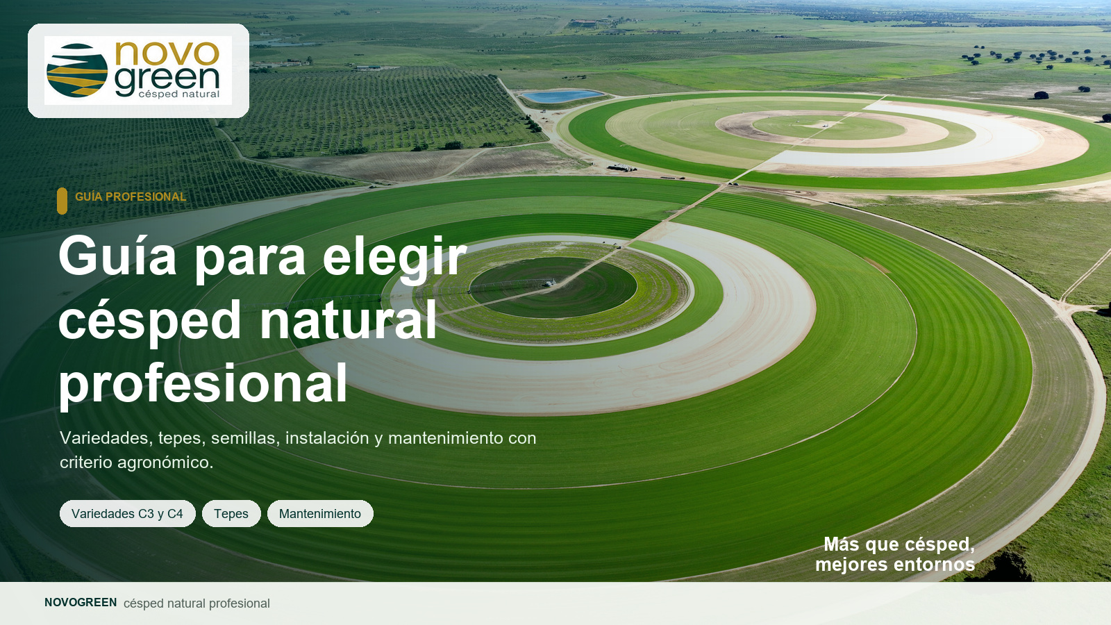 01-portada-guia-cesped-natural-profesional guia para elegir cesped natural
