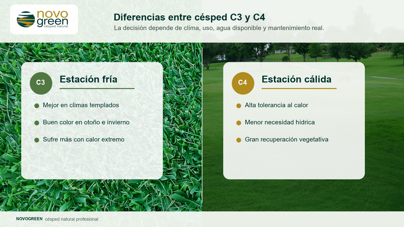 diferencias césped C3 y C4