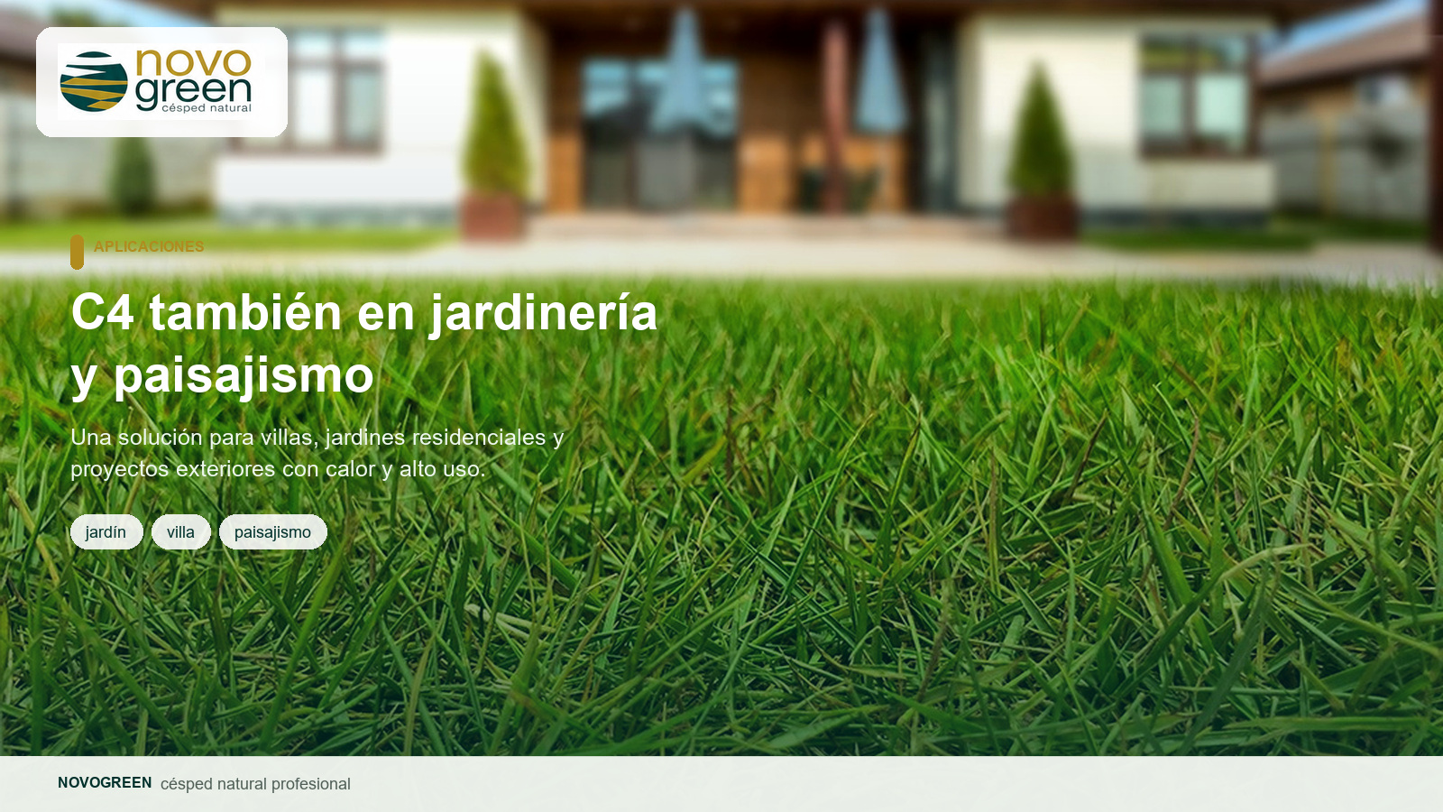 C4 en jardinería