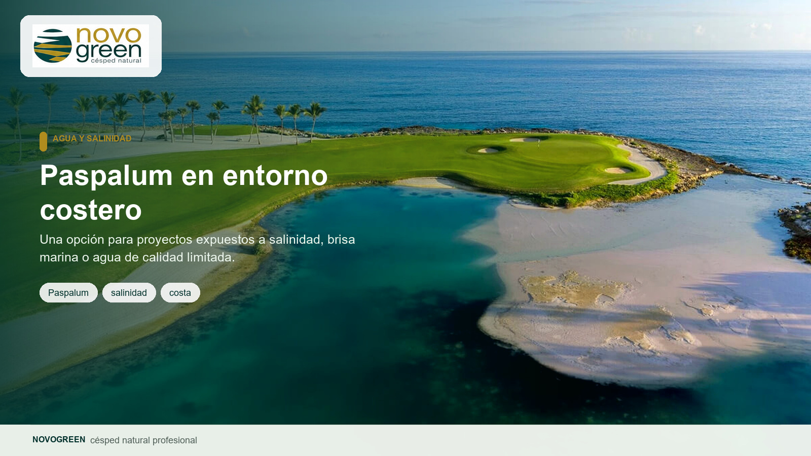 salinidad paspalum