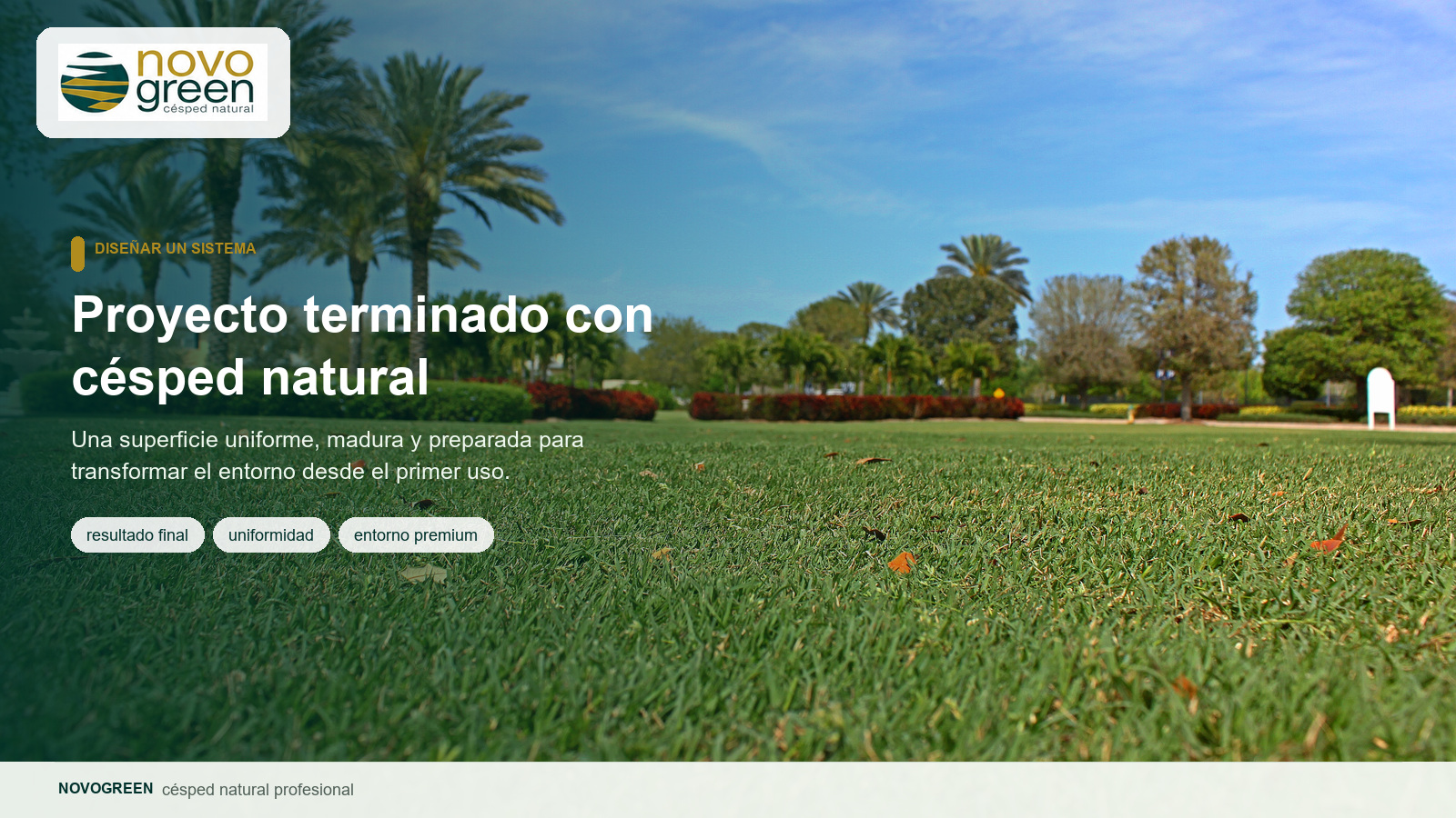 proyecto terminado césped natural