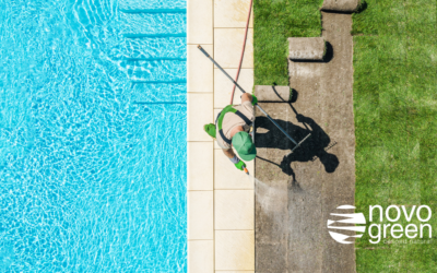 Cómo elegir césped natural para jardines con piscina