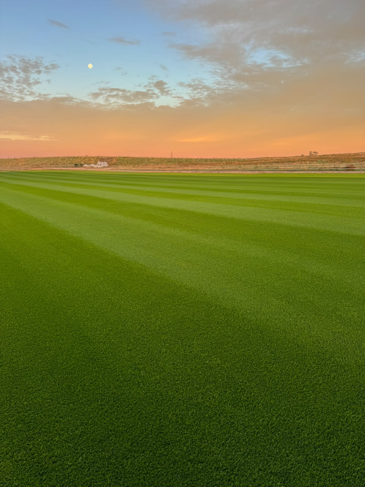 Verd Elite - Image 4